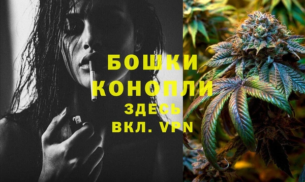ECSTASY Богданович