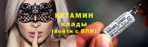 ECSTASY Богданович