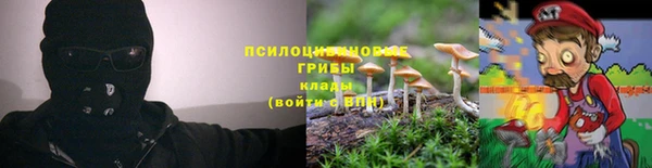 скорость mdpv Богородицк