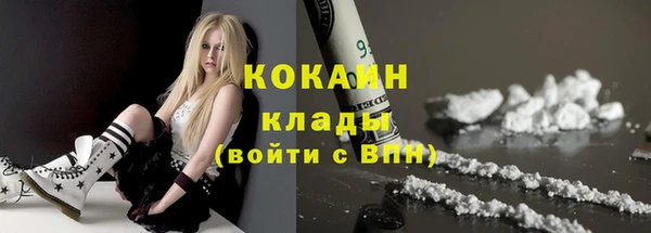 ECSTASY Богданович