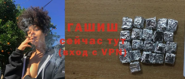 ECSTASY Богданович