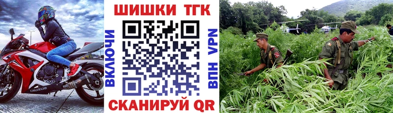 купить наркотики сайты  Вилючинск  Каннабис индика 